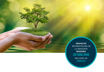 REFORESTACIÓN DE LA AMAZONIA BIOSFERA 25 MILLONES DE ARBOLES